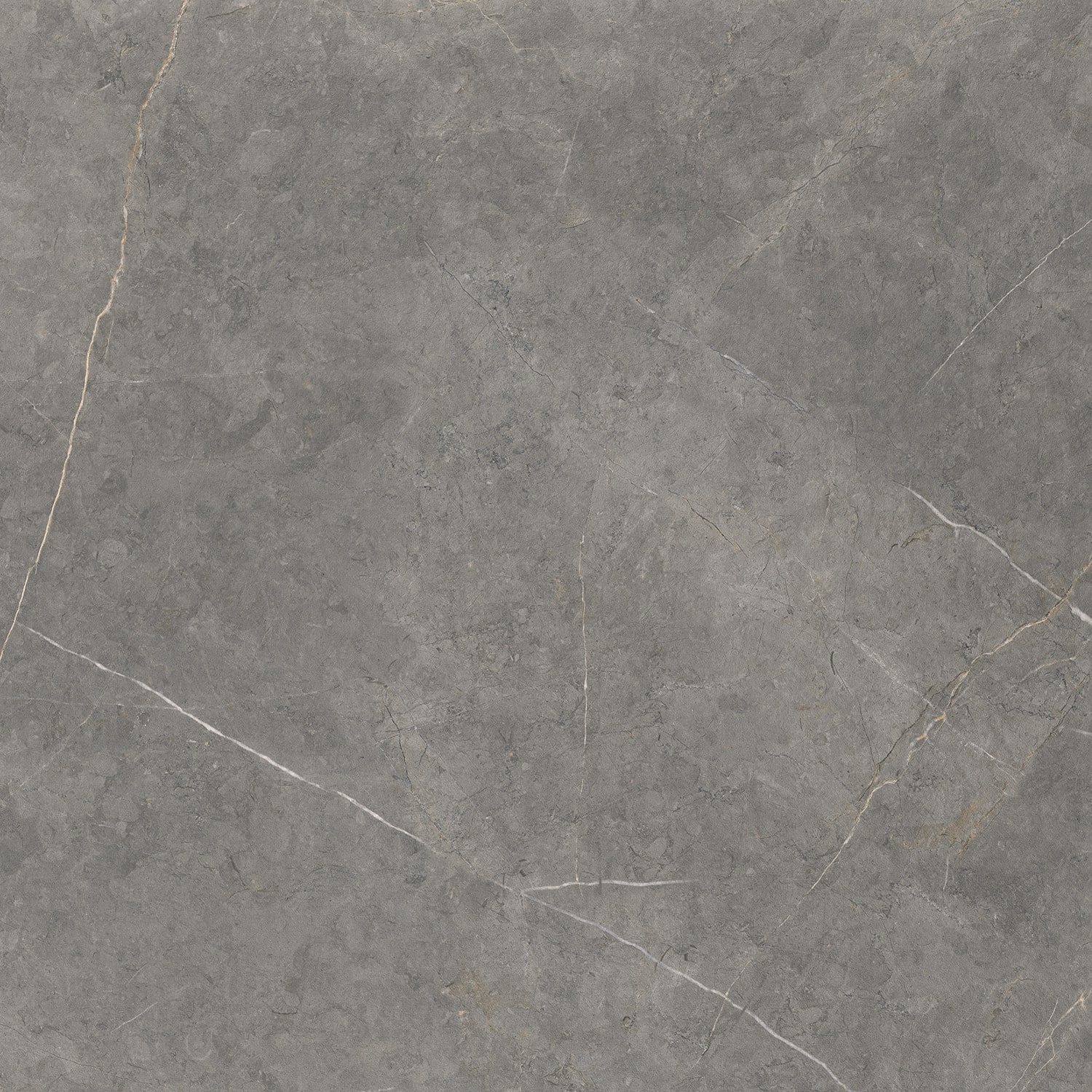 NORTHON GREY 100X100